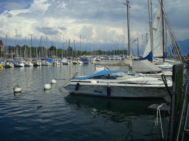 lausannepen_2011 36